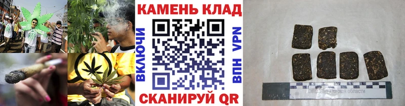 ГАШ Premium  Купить где  Княгинино 