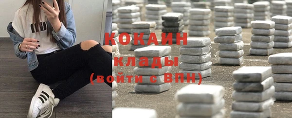 хмурый Осинники