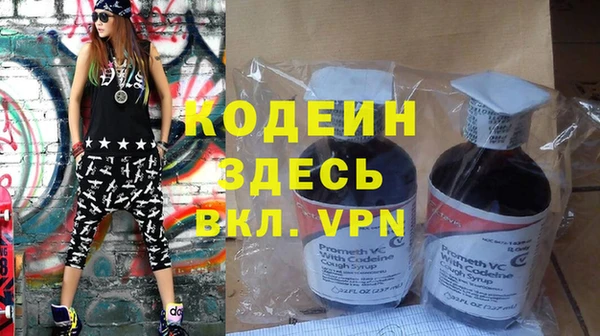 хмурый Осинники