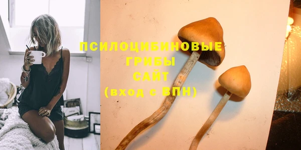 амф Пересвет