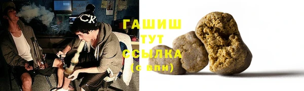 хмурый Осинники