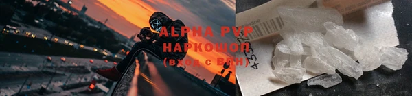 амф Пересвет