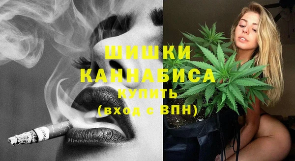 хмурый Осинники