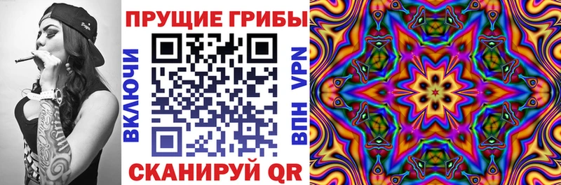 Галлюциногенные грибы мухоморы  Купить закладки  Княгинино 